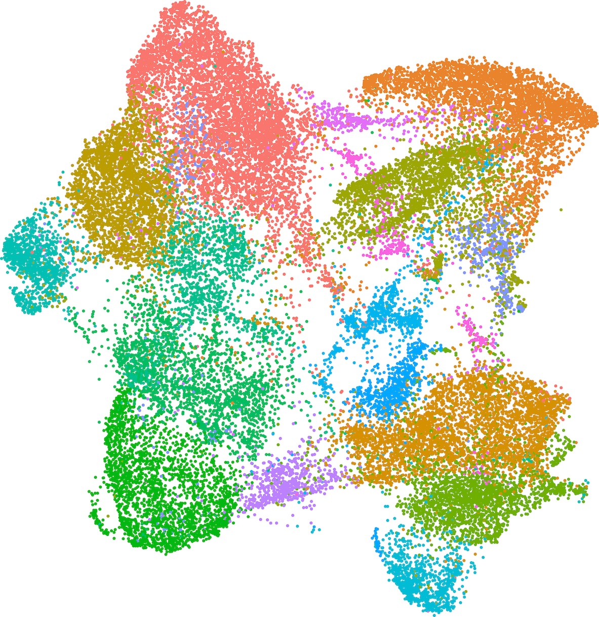Biological visualization