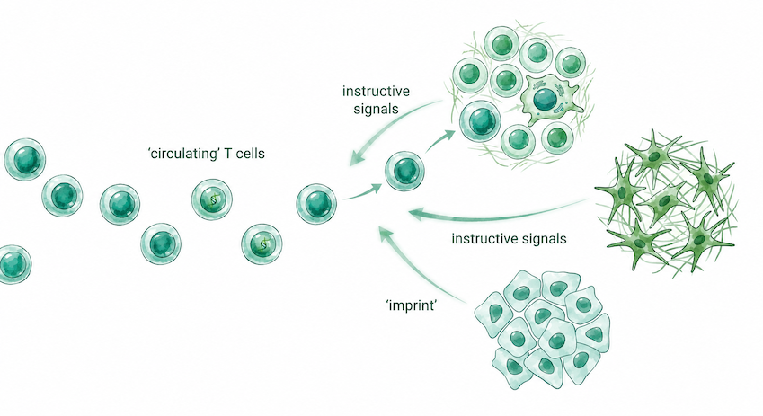 Biological visualization